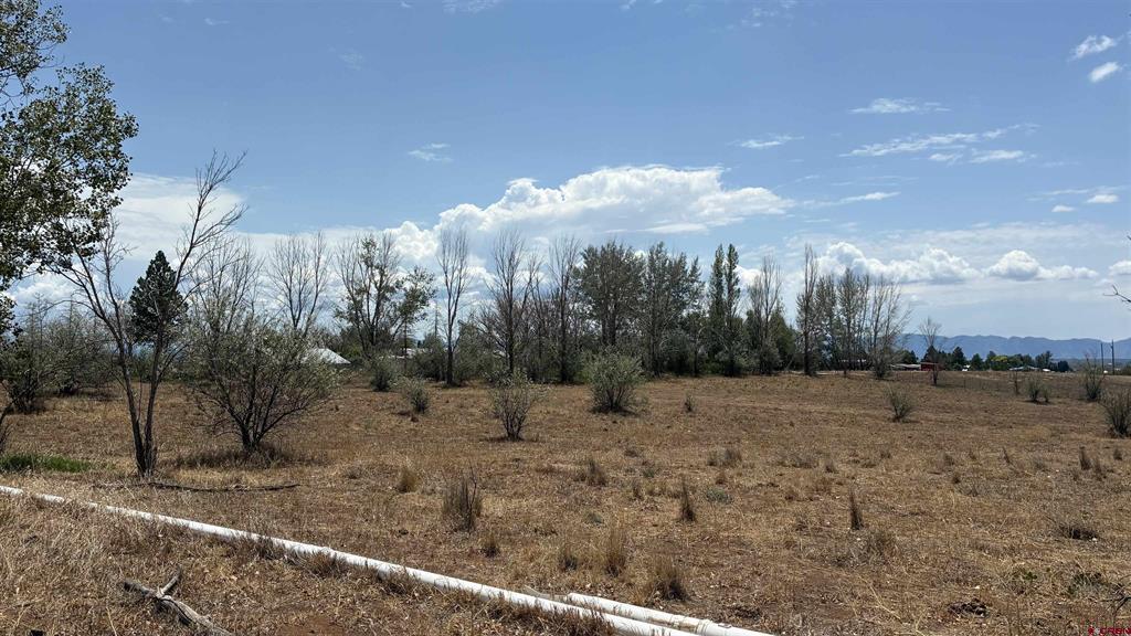 20289 Road S.7 Cortez CO 81321