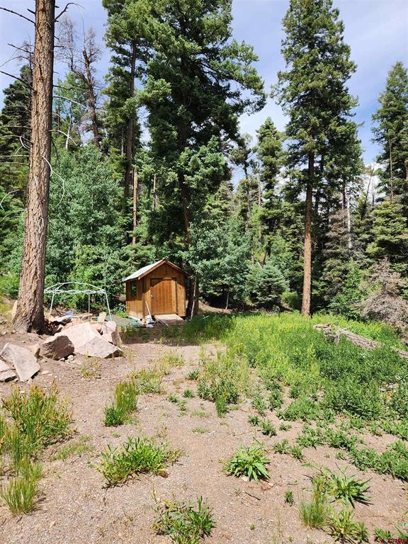 1407 Clarke Mountain Lane Antonito CO 81120