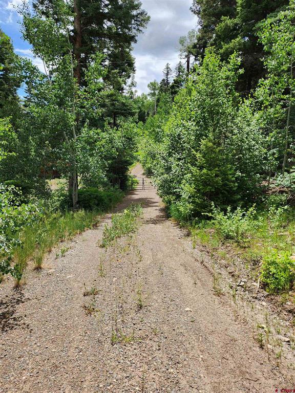 1407 Clarke Mountain Lane Antonito CO 81120