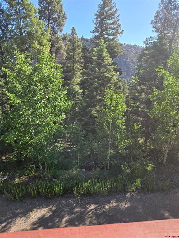 1407 Clarke Mountain Lane Antonito CO 81120