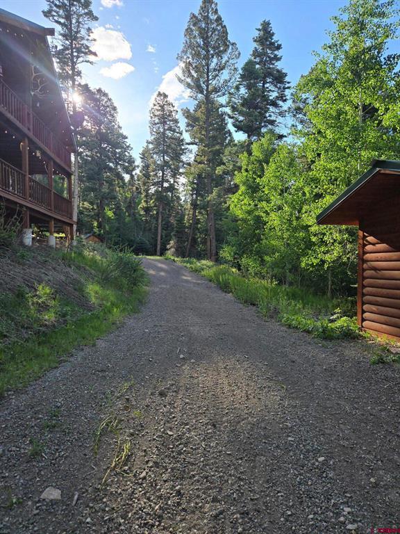 1407 Clarke Mountain Lane Antonito CO 81120