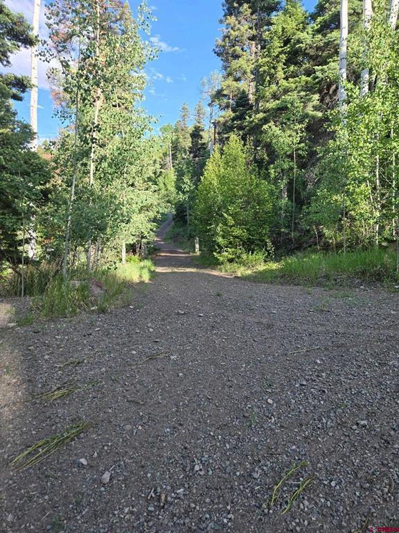 1407 Clarke Mountain Lane Antonito CO 81120