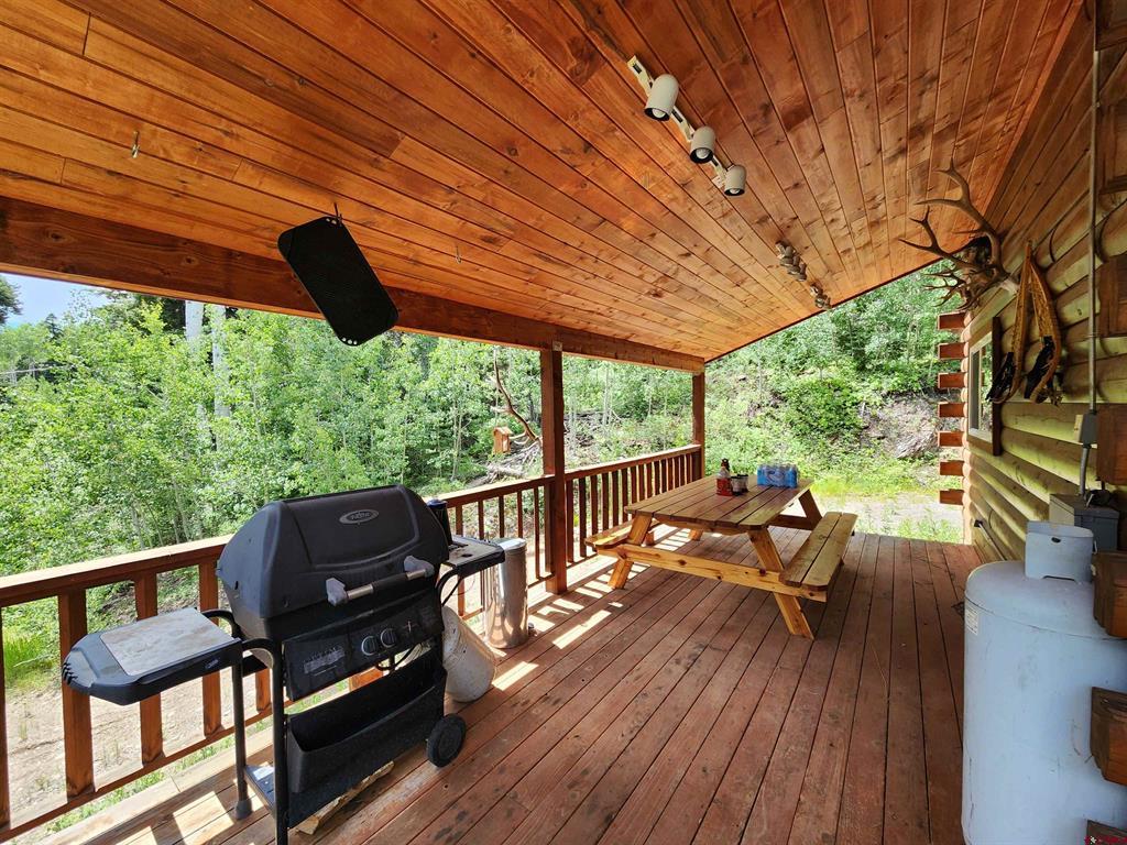 1407 Clarke Mountain Lane Antonito CO 81120