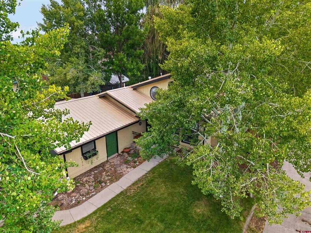 705 Duke Drive Alamosa CO 81101