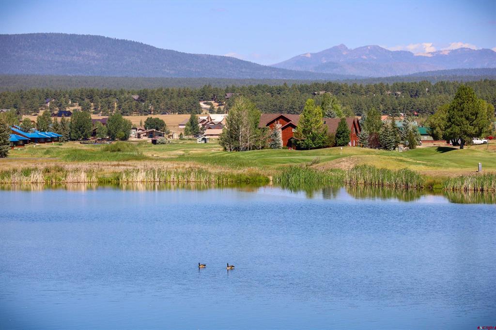 16 Holly Tree Circle Pagosa Springs CO 81147