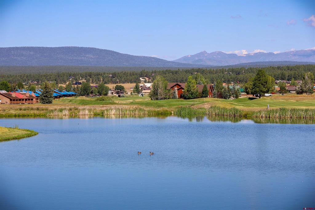 16 Holly Tree Circle Pagosa Springs CO 81147