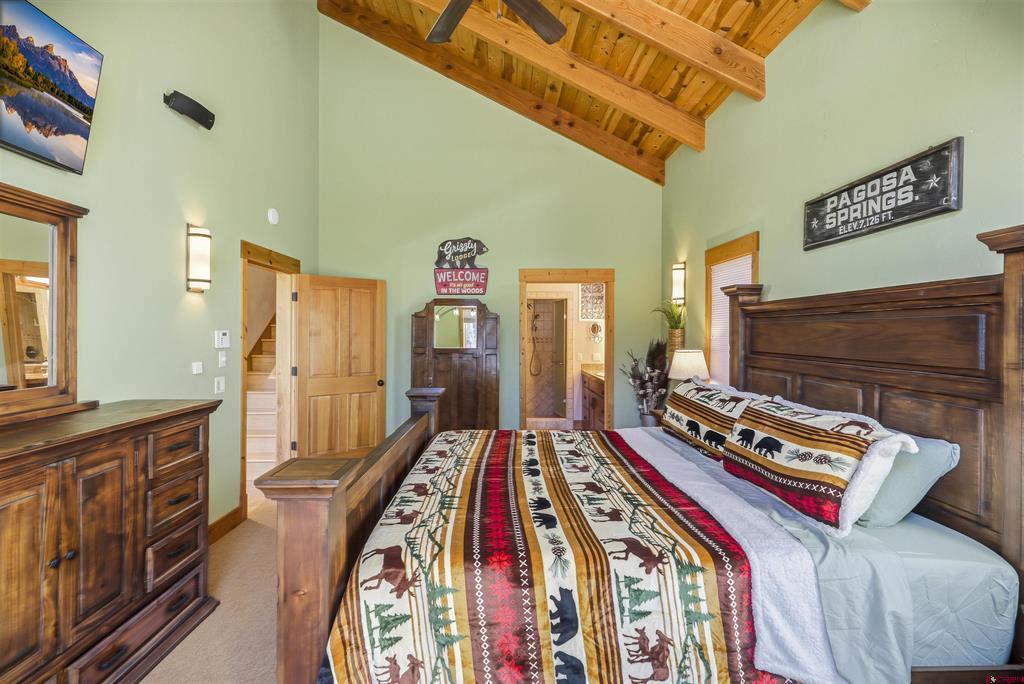 73 Harebell Drive Pagosa Springs CO 81147