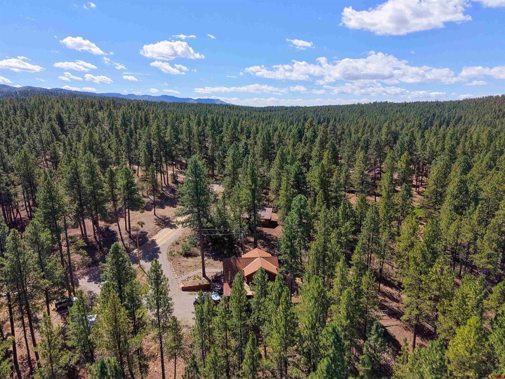 350 Weiland Drive Bayfield CO 81122