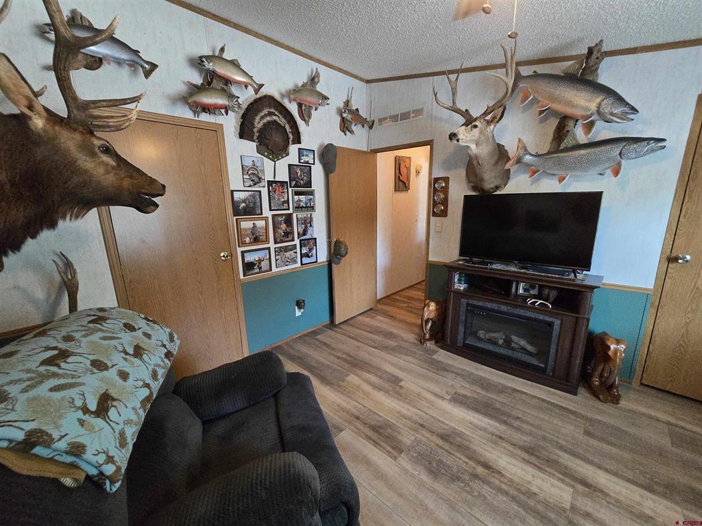 515 Dennis Street Monte Vista CO 81144