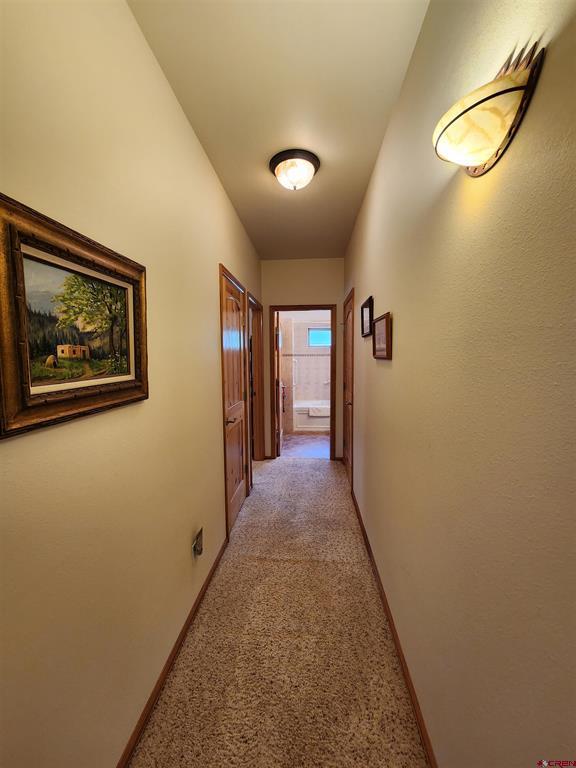 421 Elk Meadow Run Antonito CO 81120