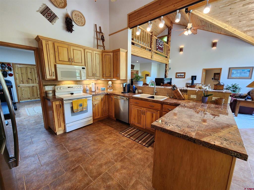 421 Elk Meadow Run Antonito CO 81120