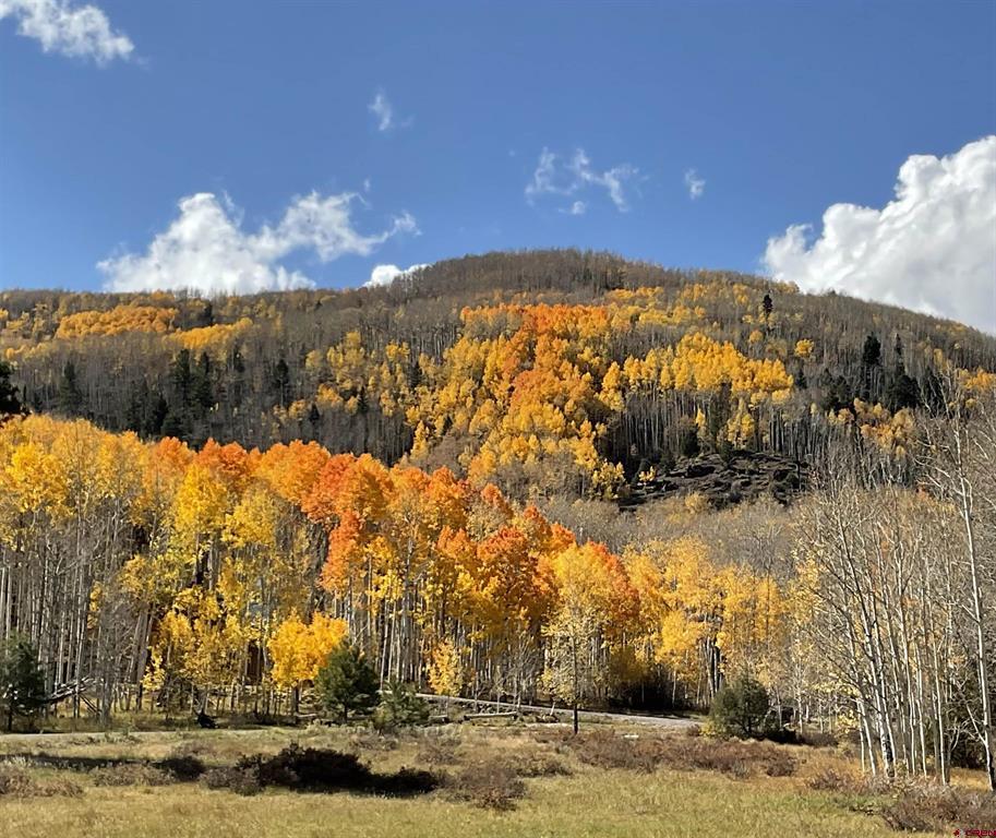 421 Elk Meadow Run Antonito CO 81120