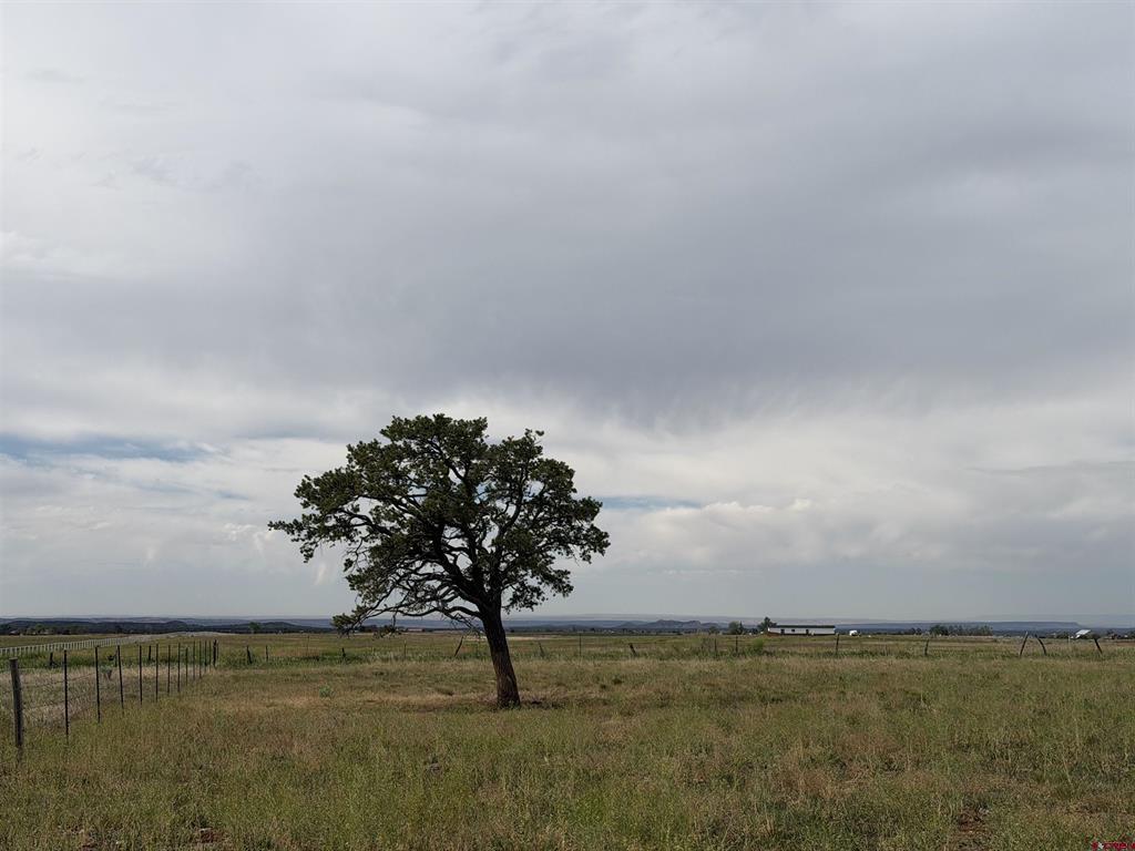 4122 County Road 129 Hesperus CO 81326