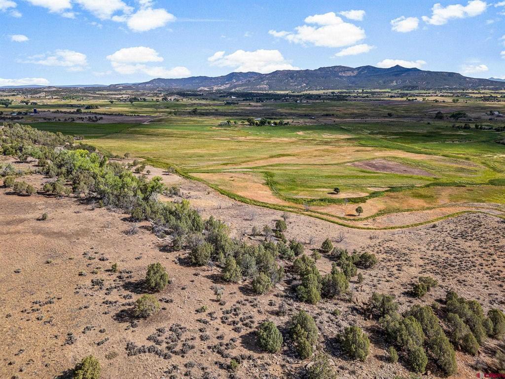 1204 Cr 332 Ignacio CO 81301