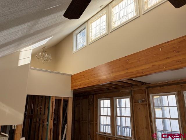311 4th Street Ouray CO 81427