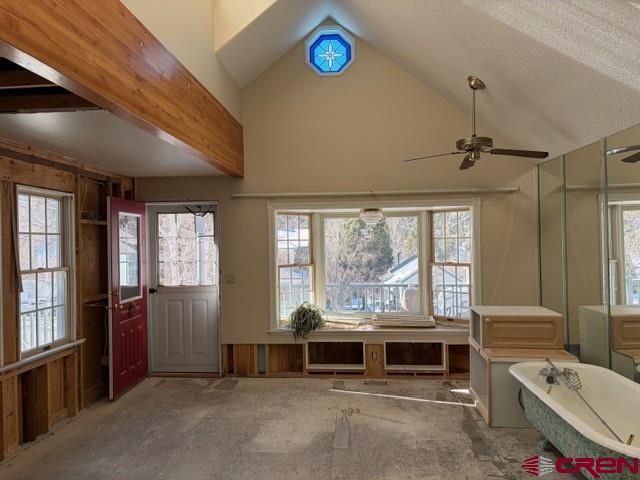 311 4th Street Ouray CO 81427