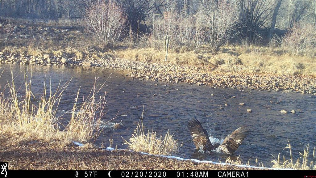 1277 Cr 501 Bayfield CO 81122