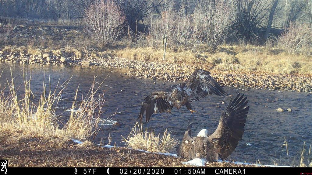 1277 Cr 501 Bayfield CO 81122