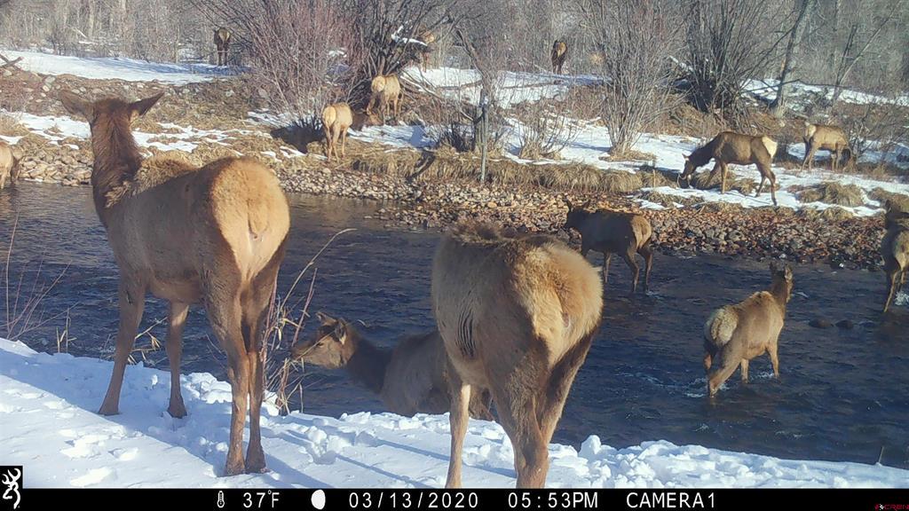 1277 Cr 501 Bayfield CO 81122
