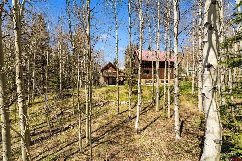 454 Silverglance Way Rico CO 81332