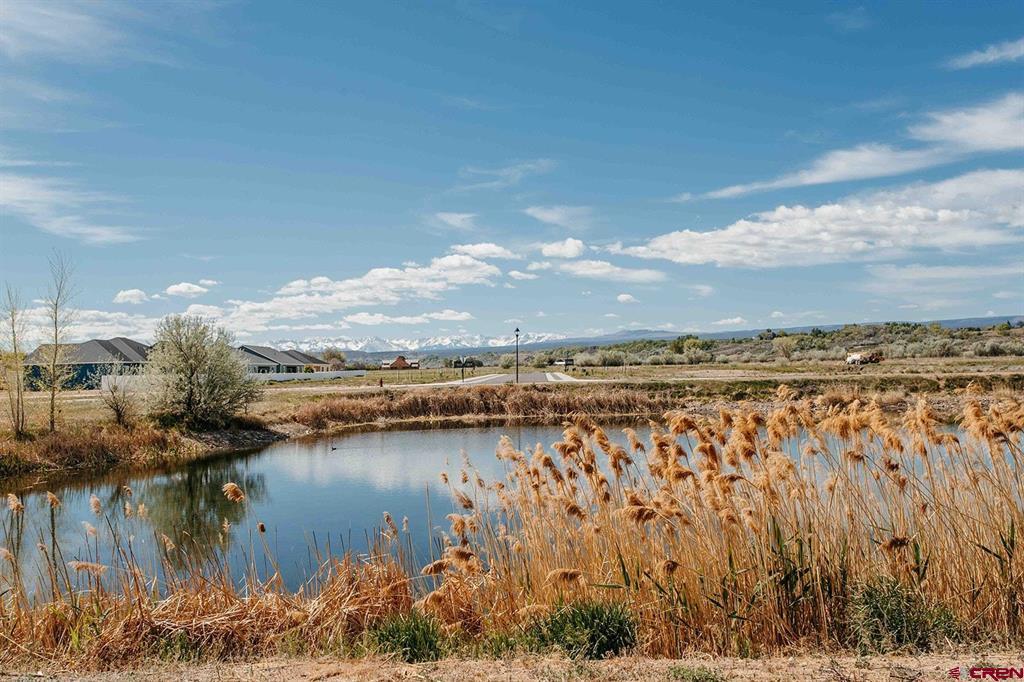 712 Carbonero Avenue Montrose CO 81403