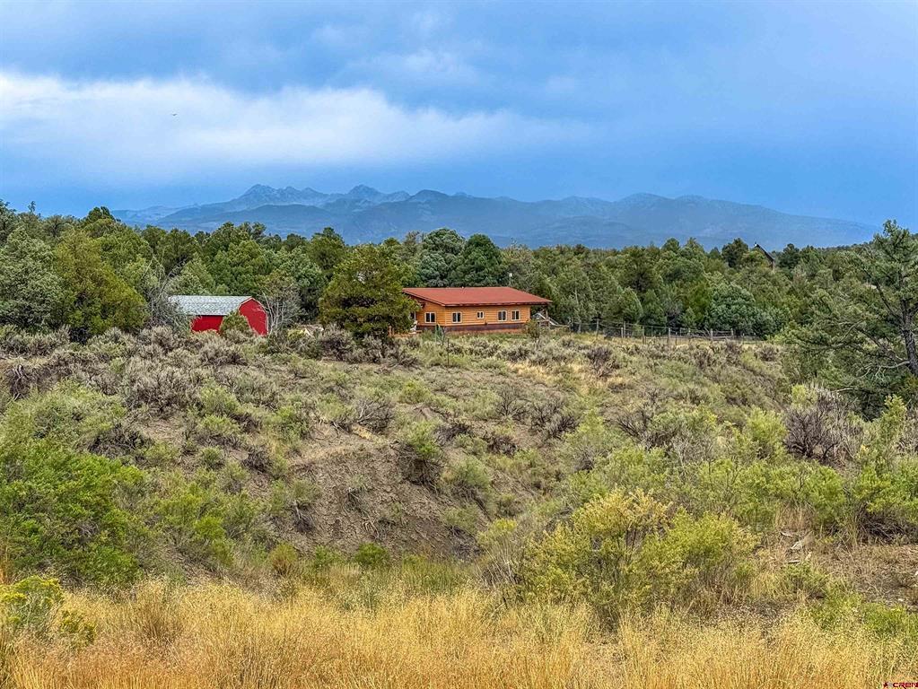 10736 Road 35.6 Mancos CO 81328