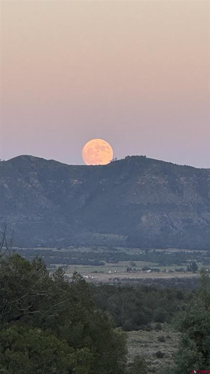 10736 Road 35.6 Mancos CO 81328