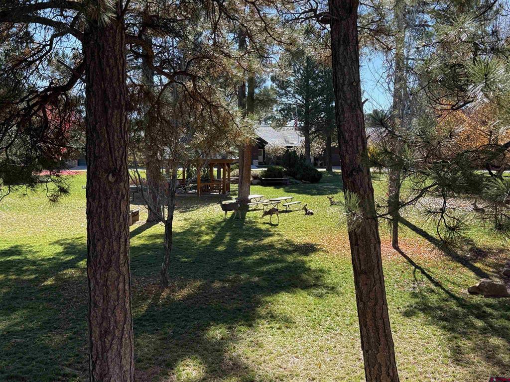 1135 Park Avenue Pagosa Springs CO 81147