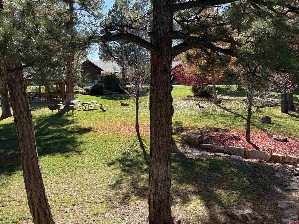 1135 Park Avenue Pagosa Springs CO 81147
