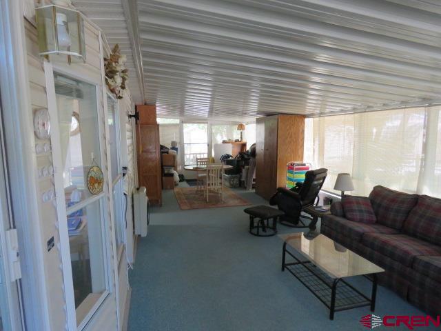 59 Colorado Lane South Fork CO 81154
