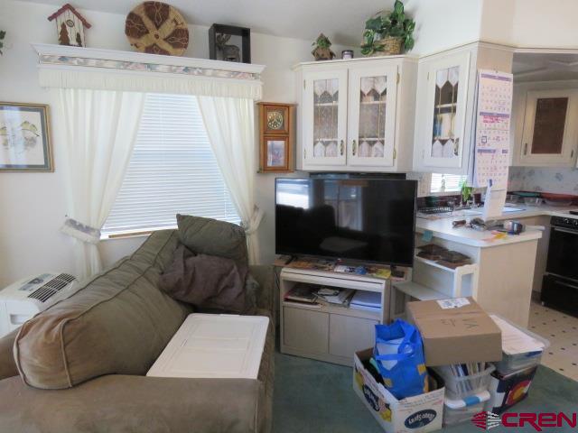 59 Colorado Lane South Fork CO 81154