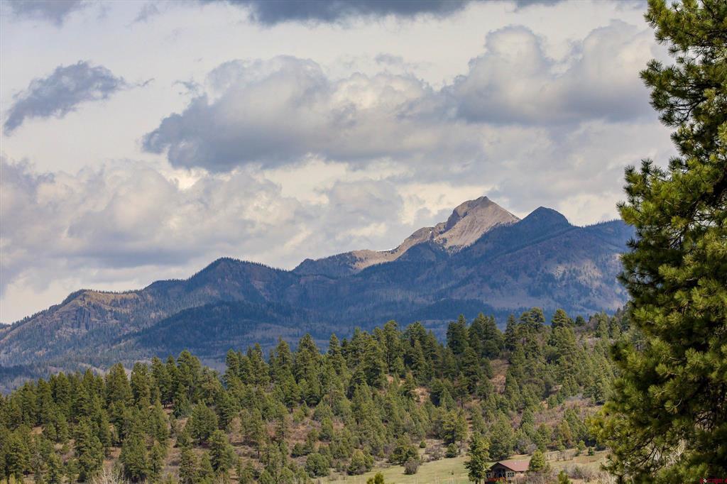 97 Horseshoe Circle Pagosa Springs CO 81147