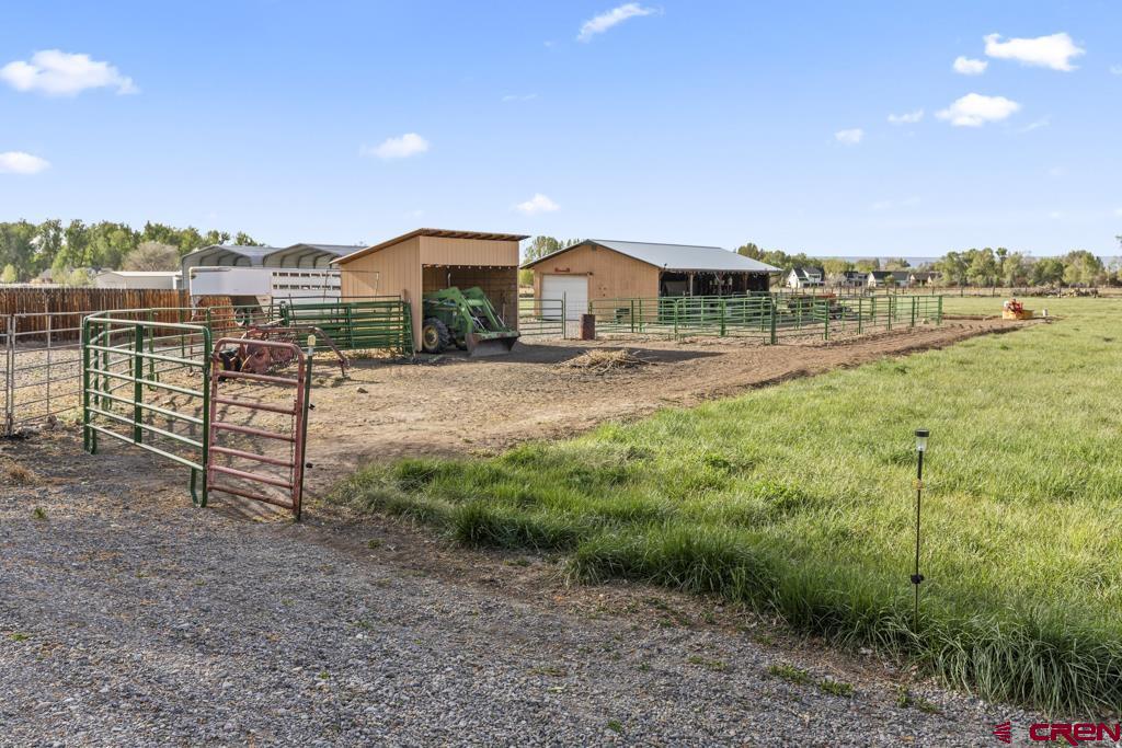 61393 Niagara Road Montrose CO 81403