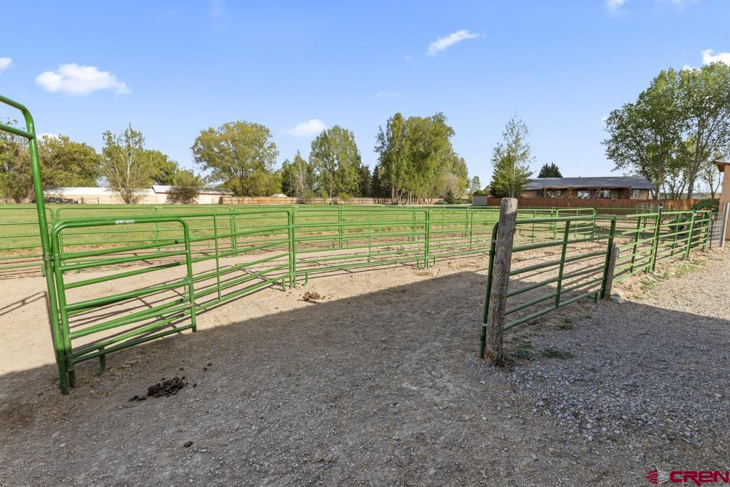 61393 Niagara Road Montrose CO 81403