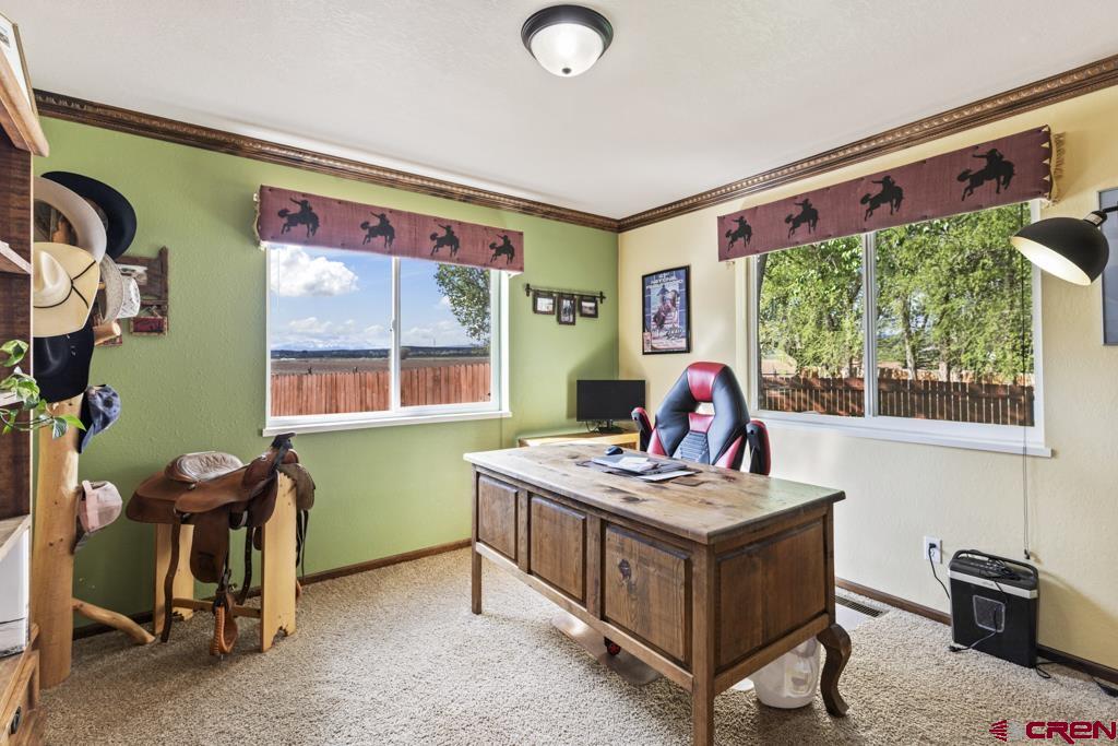 61393 Niagara Road Montrose CO 81403