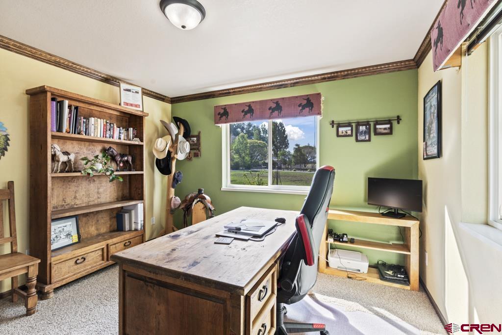61393 Niagara Road Montrose CO 81403