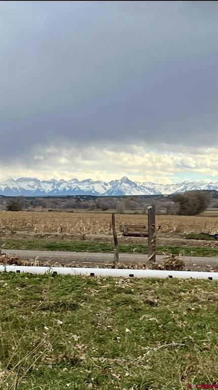 61393 Niagara Road Montrose CO 81403