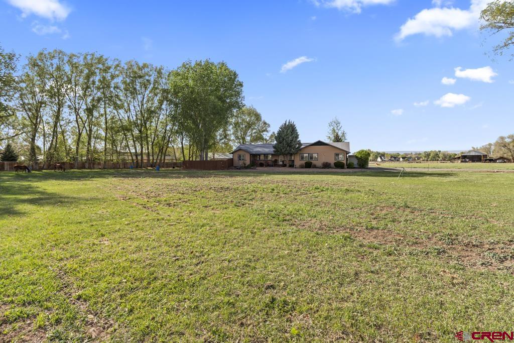 61393 Niagara Road Montrose CO 81403