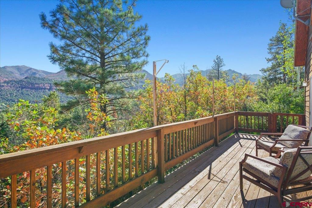 36 Deer Trail Ridgway CO 81432