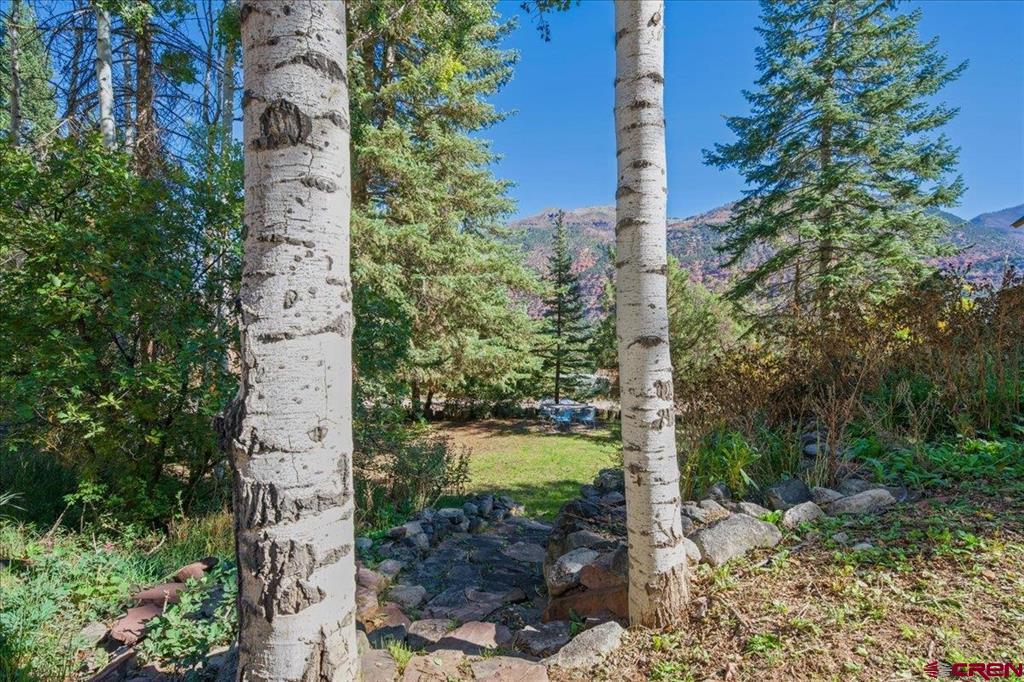36 Deer Trail Ridgway CO 81432