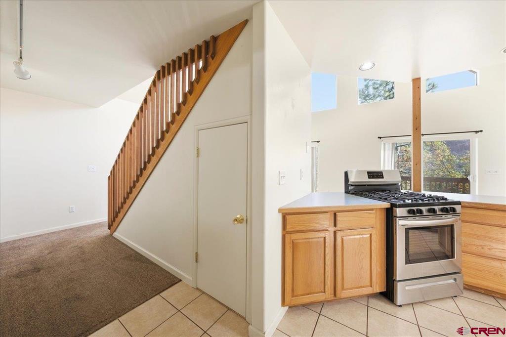 36 Deer Trail Ridgway CO 81432