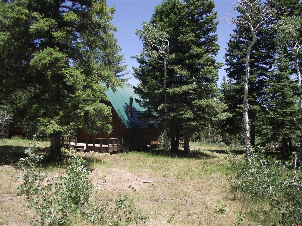 15283 Spring Creek Trail Montrose CO 81403
