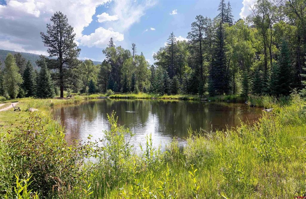 163 Pinestone Drive Bayfield CO 81122