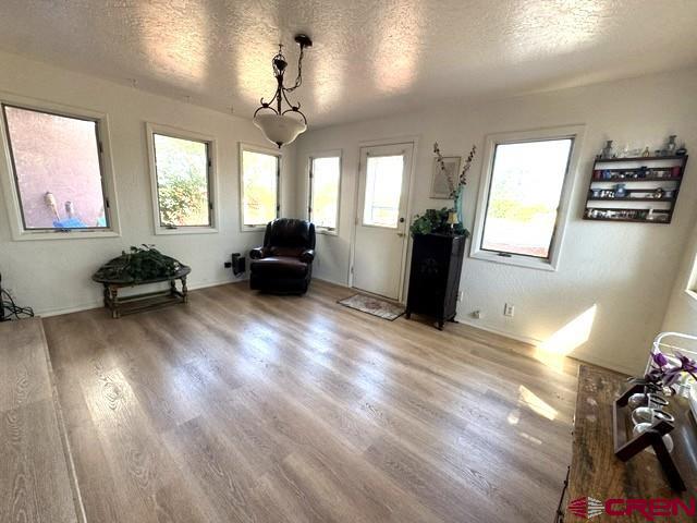 616 Alameda Drive Cortez CO 81321