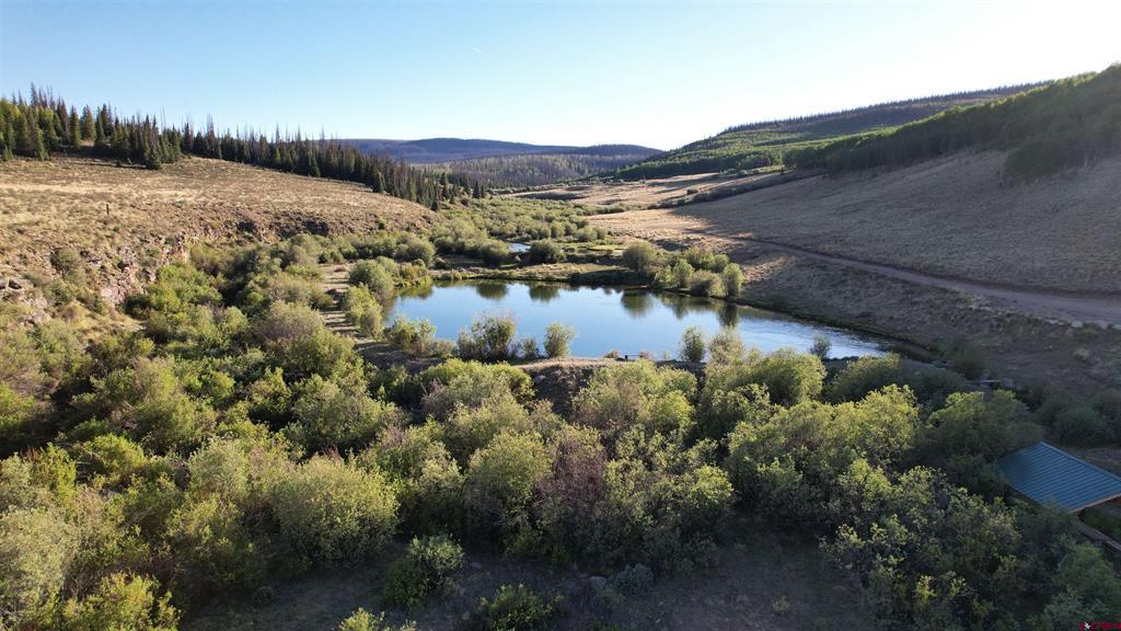 1001 Cr 17 Lake City CO 81235
