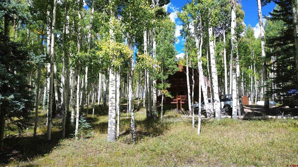 613 Alamosa Avenue Del Norte CO 81132