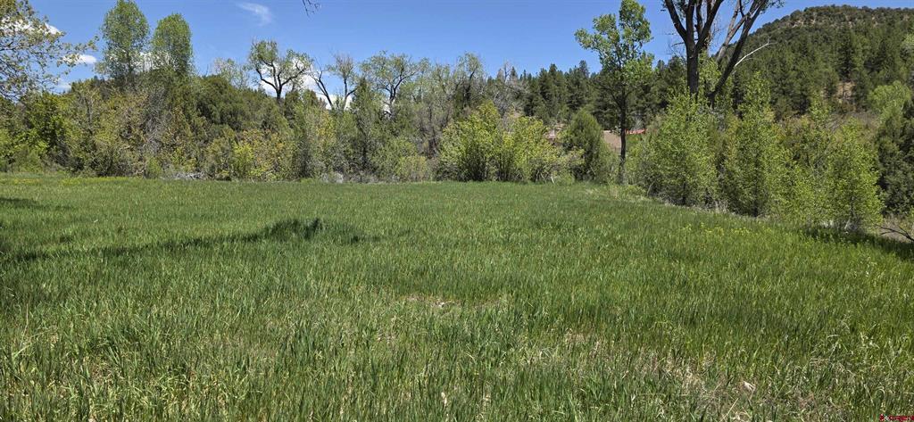 206 Shasta Trail Hesperus CO 81326
