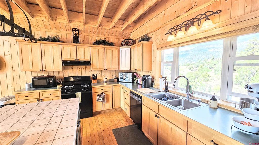 3438 Bear Creek Circle South Fork CO 81154