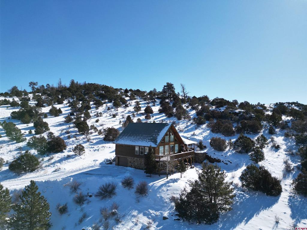 3438 Bear Creek Circle South Fork CO 81154