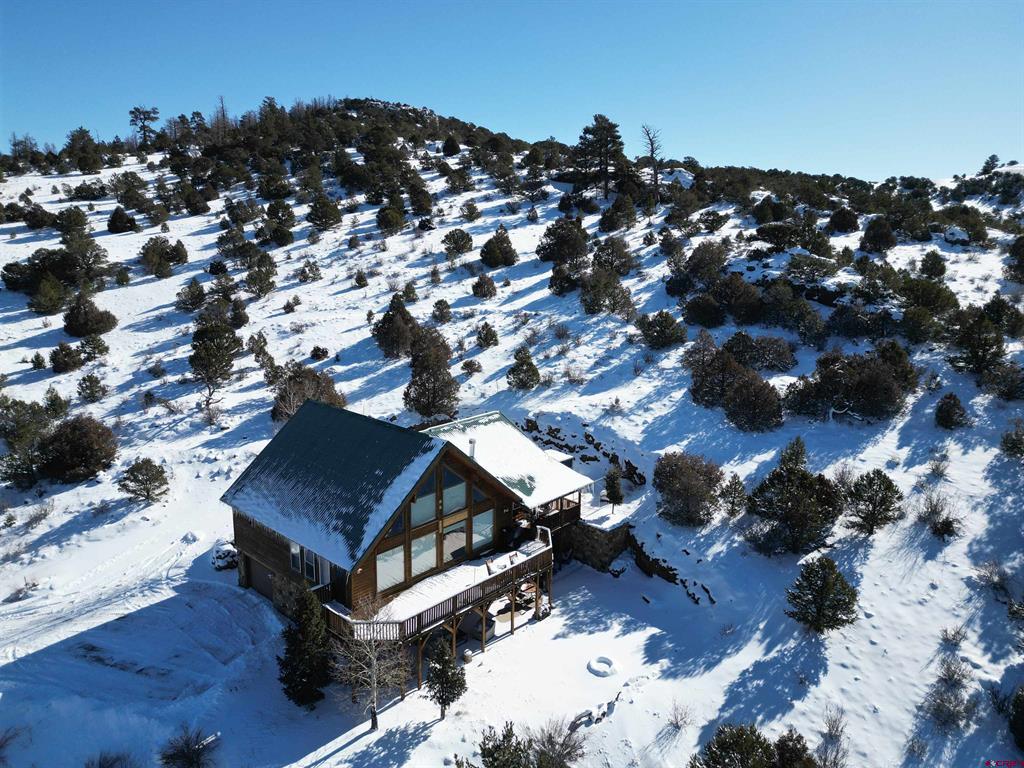 3438 Bear Creek Circle South Fork CO 81154